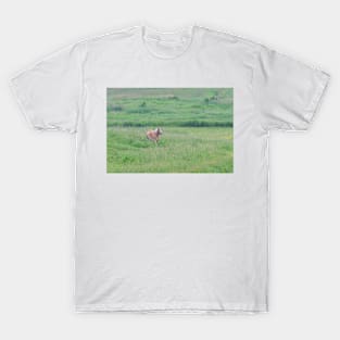 Lightning Bolt - Horse T-Shirt